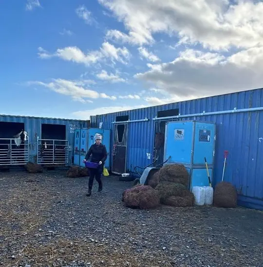 Peninsula Stable Minds - TITAN Impact